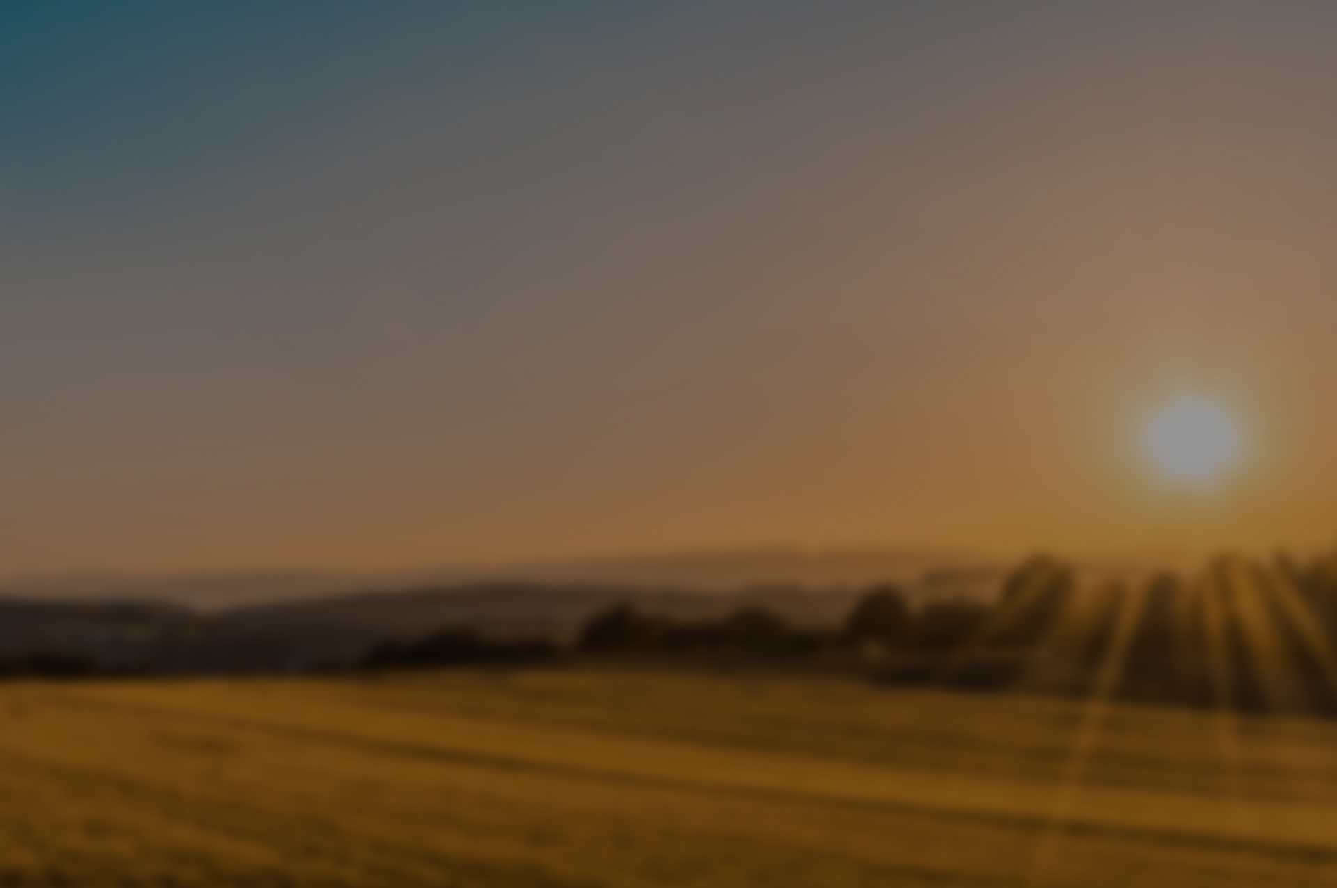 Helping a billion dollar company reignite growth customer experience case study