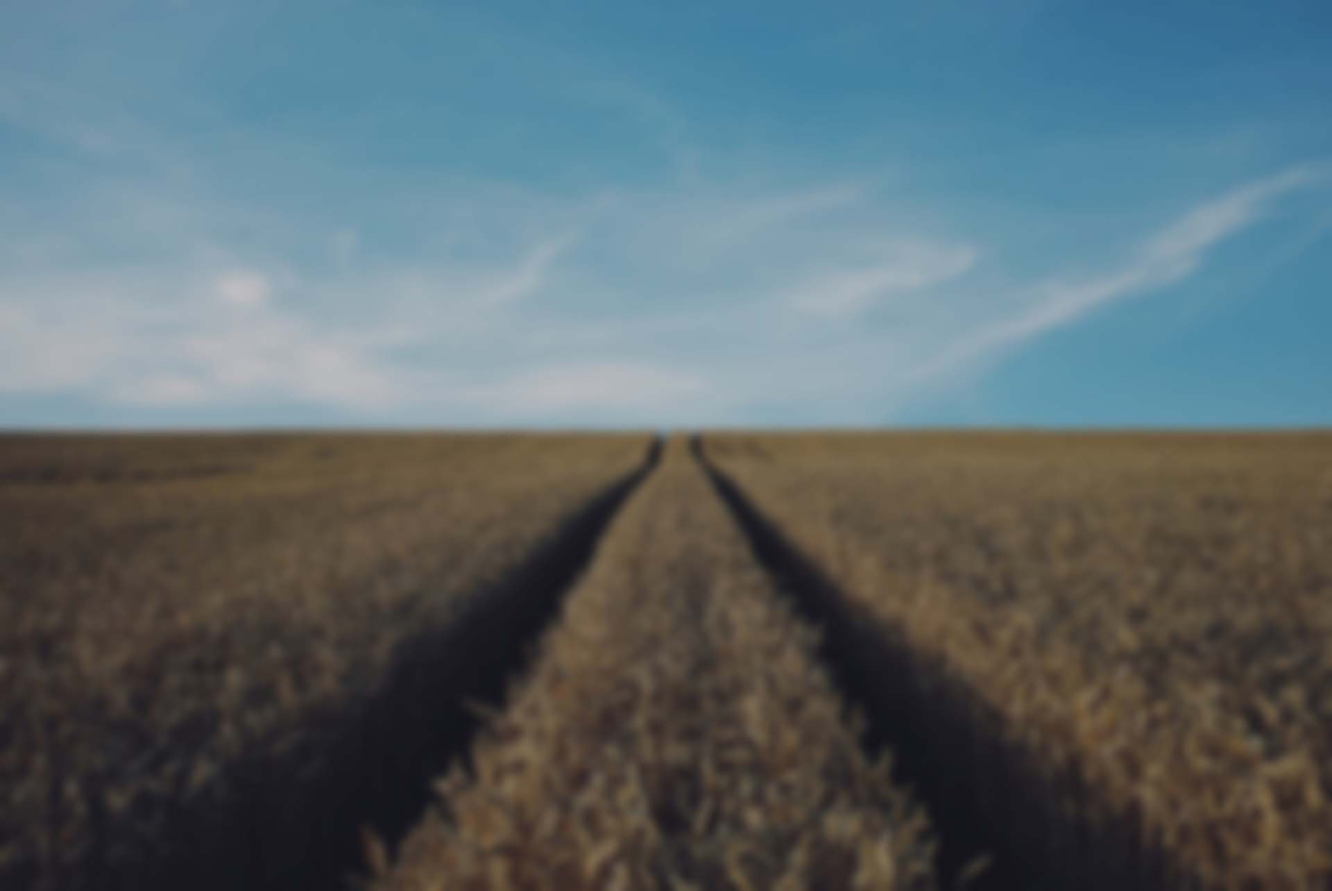 Uniting the voice of customers and employees customer experience case study