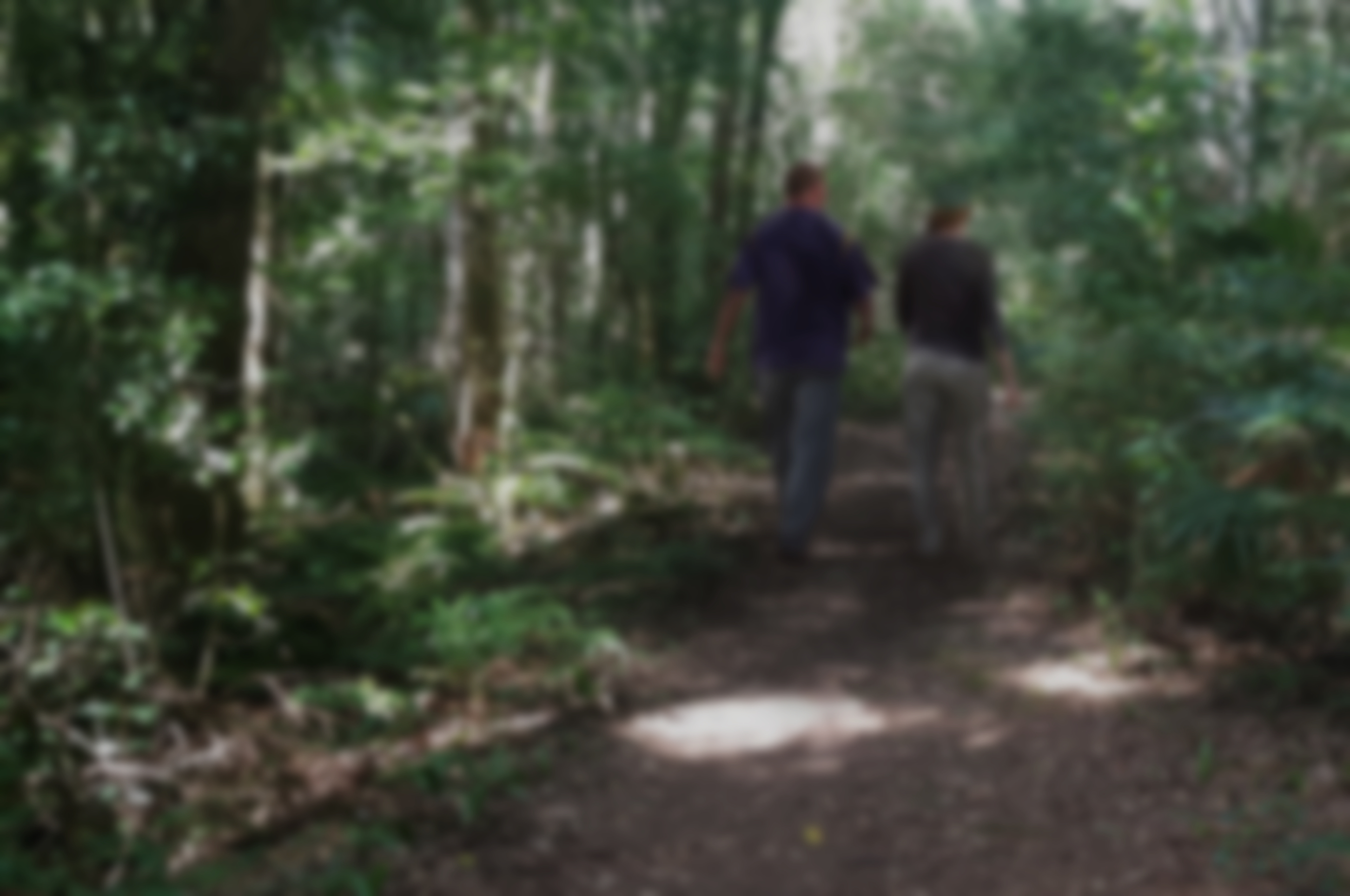 Designing a surprisingly simple council experience customer experience case study